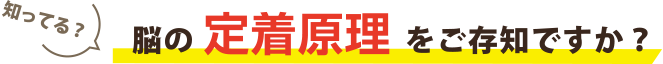 脳の定着原理をご存知ですか?